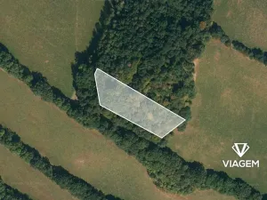 Prodej lesa, Tvrdkov, 5303 m2