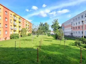 Pronájem bytu 1+1, Týniště nad Orlicí, Družstevní, 39 m2