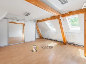 Prodej komerční nemovitosti, Velká Chmelištná, 550 m2