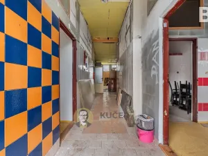 Prodej komerční nemovitosti, Velká Chmelištná, 550 m2