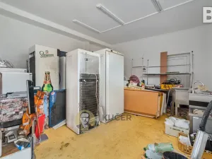 Prodej rodinného domu, Velká Chmelištná, 550 m2