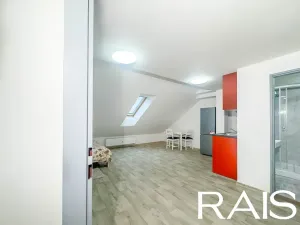 Pronájem bytu 1+kk, Brno, Bašty, 40 m2