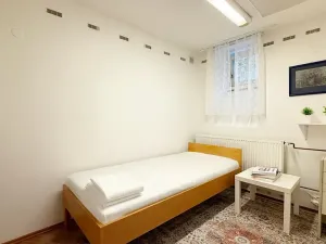 Pronájem bytu 1+kk, Brno, Teslova, 20 m2