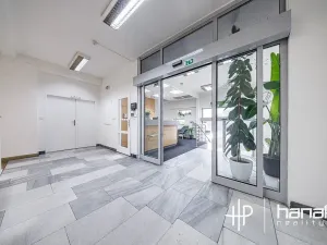 Pronájem kanceláře, Olomouc, Karolíny Světlé, 80 m2