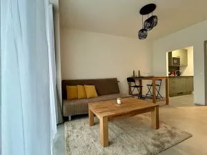 Prodej bytu 1+kk, Janov nad Nisou, 32 m2