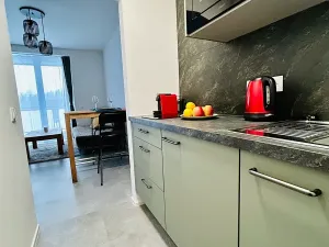 Prodej bytu 1+kk, Janov nad Nisou, 32 m2