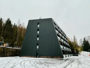 Prodej bytu 1+kk, Janov nad Nisou, 32 m2