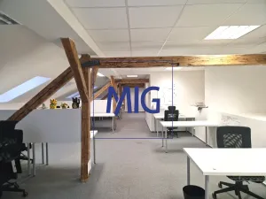 Pronájem kanceláře, Brno, Kounicova, 159 m2