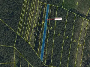 Dražba lesa, Vracov, 1174 m2