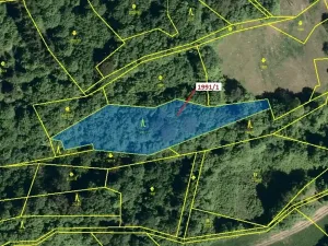 Dražba lesa, Hovězí, 2438 m2