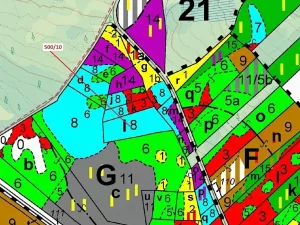 Dražba lesa, Jílovice, 5755 m2