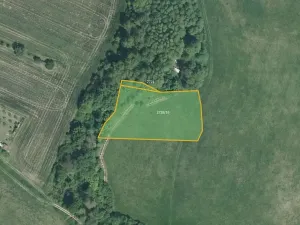 Prodej louky, Roštín, 4622 m2