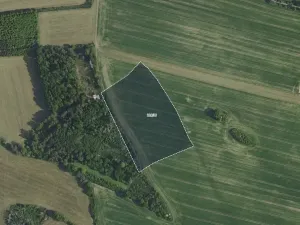 Prodej pole, Petříkov, 11756 m2