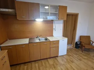 Prodej bytu 1+kk, Štěnovice, Čižická, 27 m2