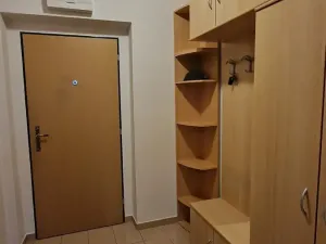 Prodej bytu 1+kk, Štěnovice, Čižická, 27 m2