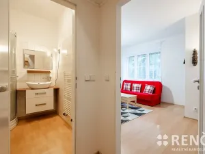 Prodej bytu 1+kk, Brno, Adamcova, 31 m2