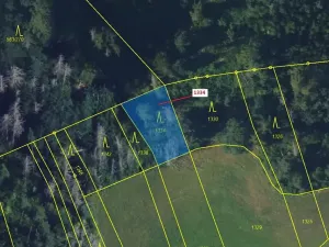 Dražba lesa, Spešov, 420 m2