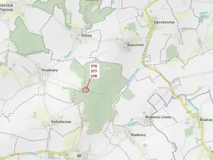 Dražba lesa, Hradčany-Kobeřice, 1703 m2