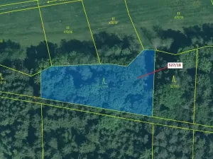 Dražba lesa, Stehlovice, 2071 m2