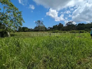 Prodej pozemku pro bydlení, Puerto Jiménez, Kostarika, Calle Los Pollos, 8924 m2