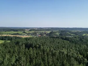 Prodej louky, Proseč pod Ještědem, 3713 m2