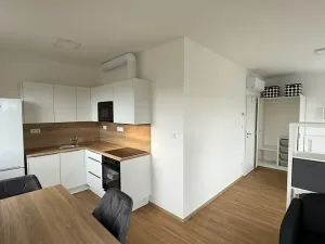 Pronájem bytu 1+kk, Přerov, Čechova, 32 m2