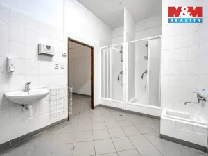 Prodej výrobních prostor, Potvorov, 377 m2