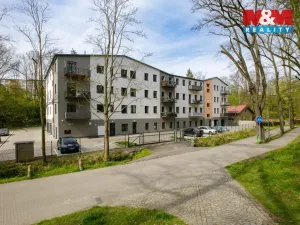 Prodej bytu 3+kk, Cheb, Břehnická, 90 m2
