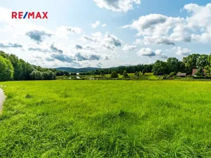 Prodej komerčního pozemku, Nová Pec, 9752 m2