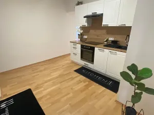 Prodej bytu 2+1, Praha - Staré Město, Náprstkova, 73 m2