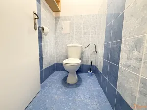 Pronájem bytu 1+kk, Holubice, Buková, 40 m2