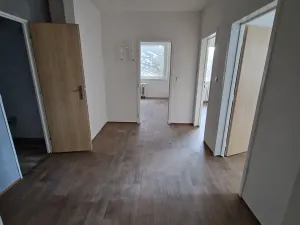 Pronájem bytu 3+1, Ústí nad Labem, Dr. Horákové, 71 m2