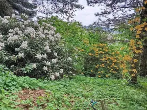 Prodej rodinného domu, Drslavice, 86 m2