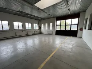 Pronájem skladu, Ledce, 207 m2