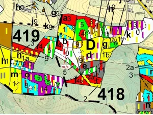 Dražba lesa, Pačejov, 1958 m2