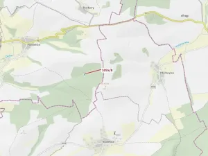 Dražba lesa, Milavče, 546 m2