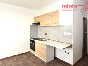 Pronájem bytu 1+1, Chomutov, Jirkovská, 33 m2