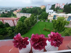 Pronájem bytu 1+1, Uherský Brod, 30 m2