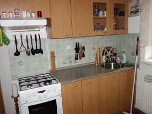 Prodej rodinného domu, Kynšperk nad Ohří, Sokolovská, 508 m2