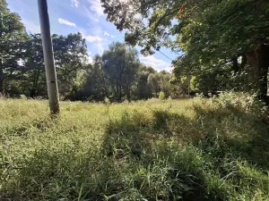 Prodej pozemku pro bydlení, Milíkov, 4644 m2