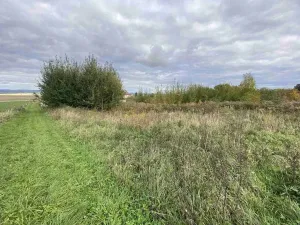 Prodej pozemku, Javorník - Horní Hoštice, 1773 m2