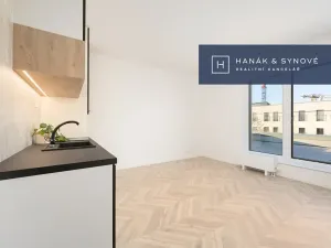 Pronájem bytu 1+kk, Brno, Cejl, 32 m2