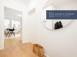 Pronájem bytu 1+kk, Brno, Cejl, 27 m2