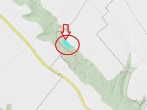 Prodej lesa, Chorušice, 2884 m2