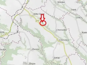 Prodej lesa, Chorušice, 2884 m2