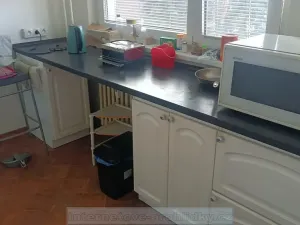 Pronájem pokoje, Praha - Hlubočepy, Geologická, 24 m2