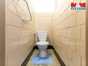 Prodej rodinného domu, Protivanov, Na Bardóně, 180 m2