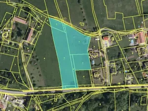Dražba pozemku pro bydlení, Bruzovice, 11054 m2