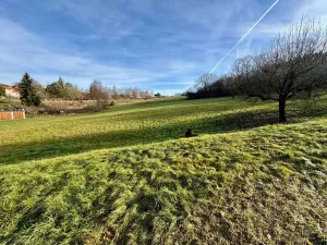 Prodej pozemku pro bydlení, Poříčí nad Sázavou, Polní, 986 m2