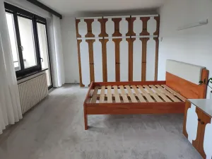 Pronájem rodinného domu, Praha - Motol, Bedrnova, 260 m2